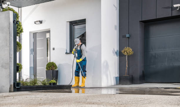 Best Soft Washing  in Naples, FL